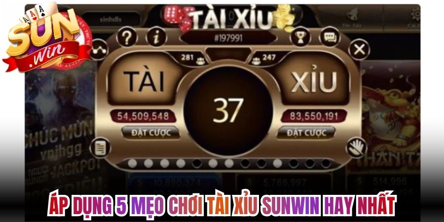 Áp dụng 5 mẹo chơi tài xỉu Sunwin hay nhất